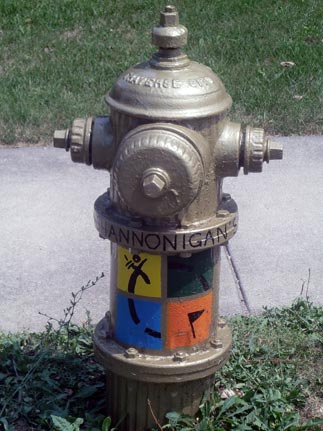 Shannonigans - Plymouth and Michigan